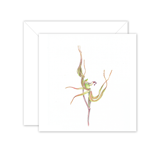 Square Card: Green Spider Orchid