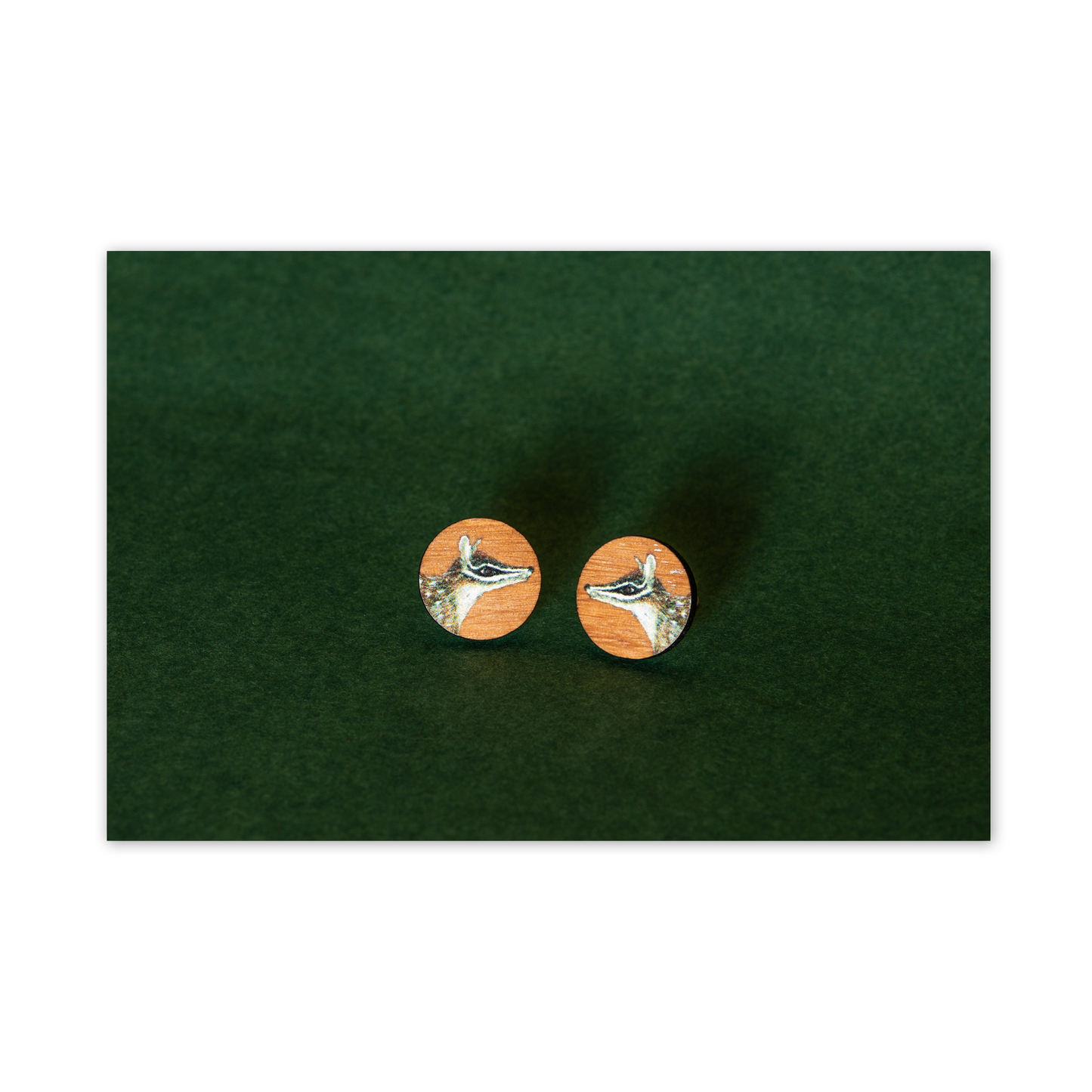 Wood Stud Earrings: Numbat