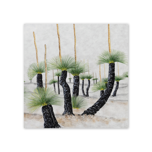 studio-nikulinsky Square Card: Desert Grasstrees by Philippa Nikulinsky