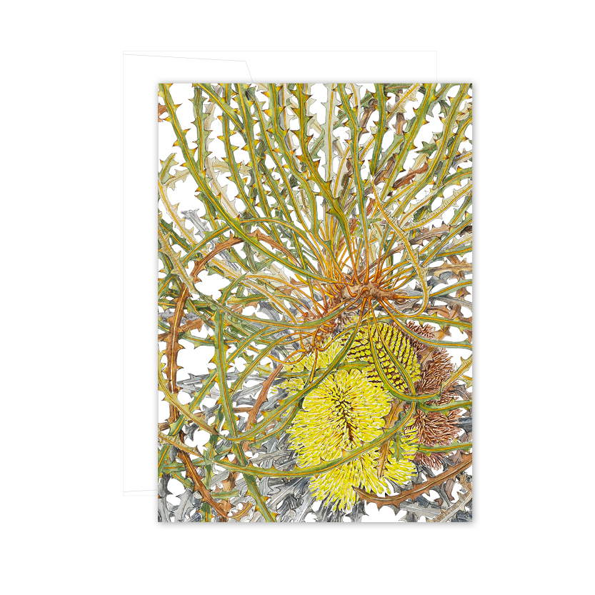 A6 Card: Swordfish Banksia